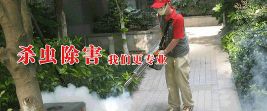 公司简介